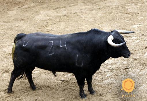 Seis toros de Matilla para la primera corrida de relumbrón de la Feria de Abril de Sevilla 2018
