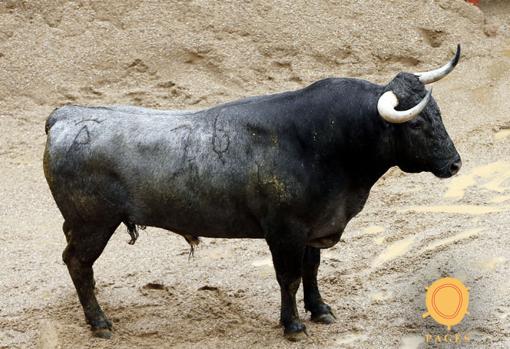 Seis toros de Victorino para Antonio Ferrera, Manuel Escribano y Daniel Luque