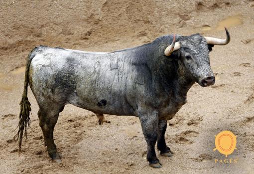 Seis toros de Victorino para Antonio Ferrera, Manuel Escribano y Daniel Luque