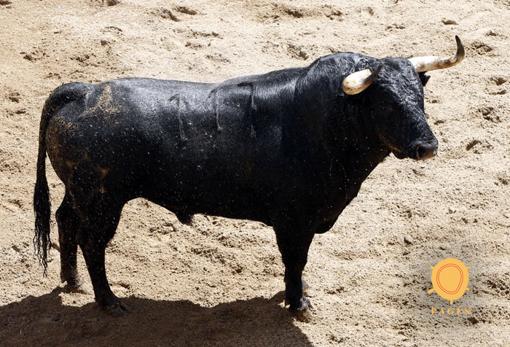 Feria de Abril de Sevilla 2018: Toros de Jandilla para Ferrera, «El Juli» y Roca Rey