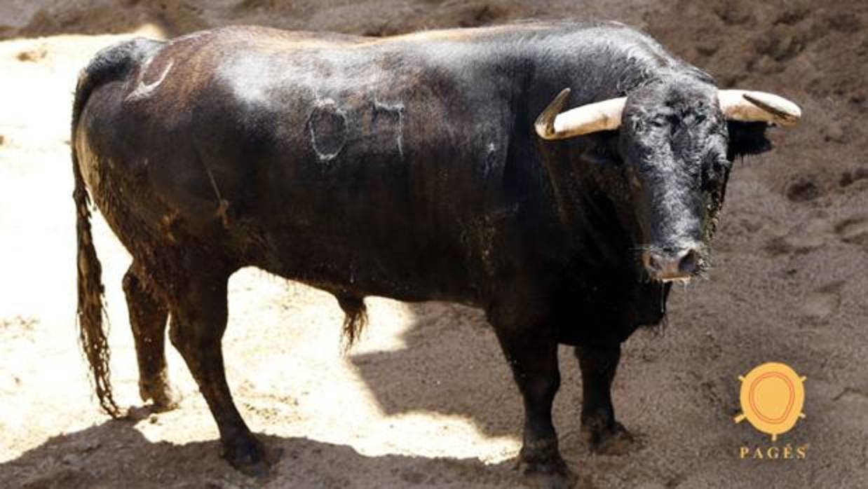 Feria de Abril de Sevilla 2018: Toros de Jandilla para Ferrera, «El Juli» y Roca Rey