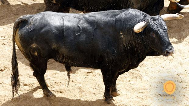 Feria de Abril de Sevilla 2018: Seis toros de Fuente Ymbro para Padilla, El Cid y Fandi