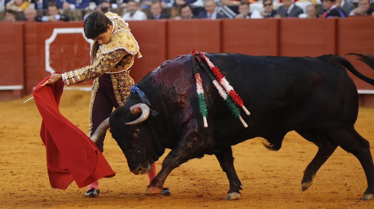 Pablo Aguado, en la Maestranza