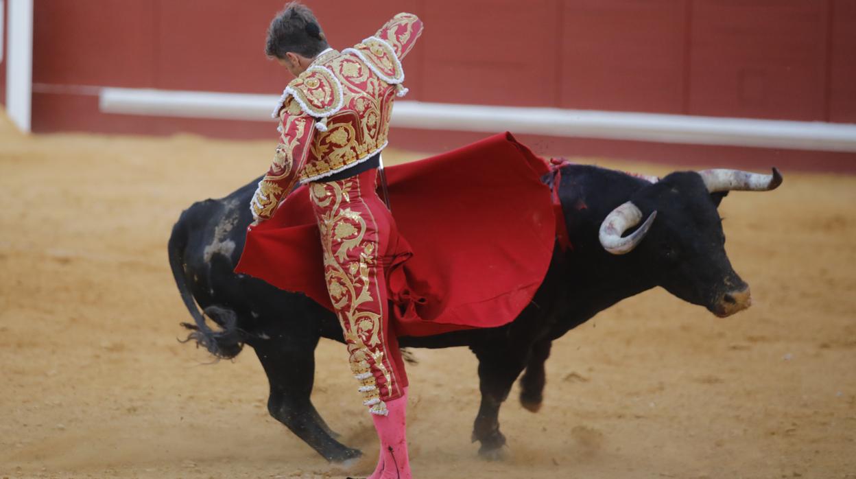 Manuel Escribano ha indultado al quinto de la tarde, Tahonero
