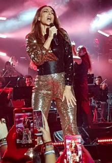 La artista, en pleno show