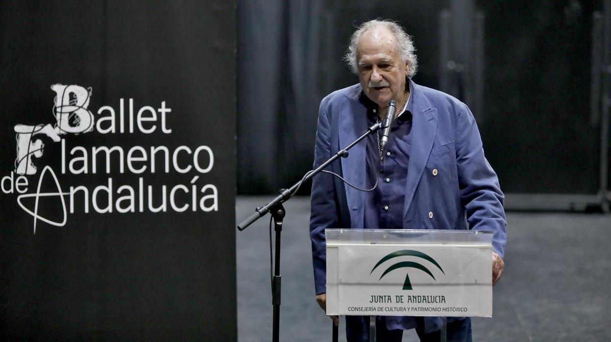 El director del Institito Andaluz del Flamenco, Ricardo Pachón, este jueves en Sevilla