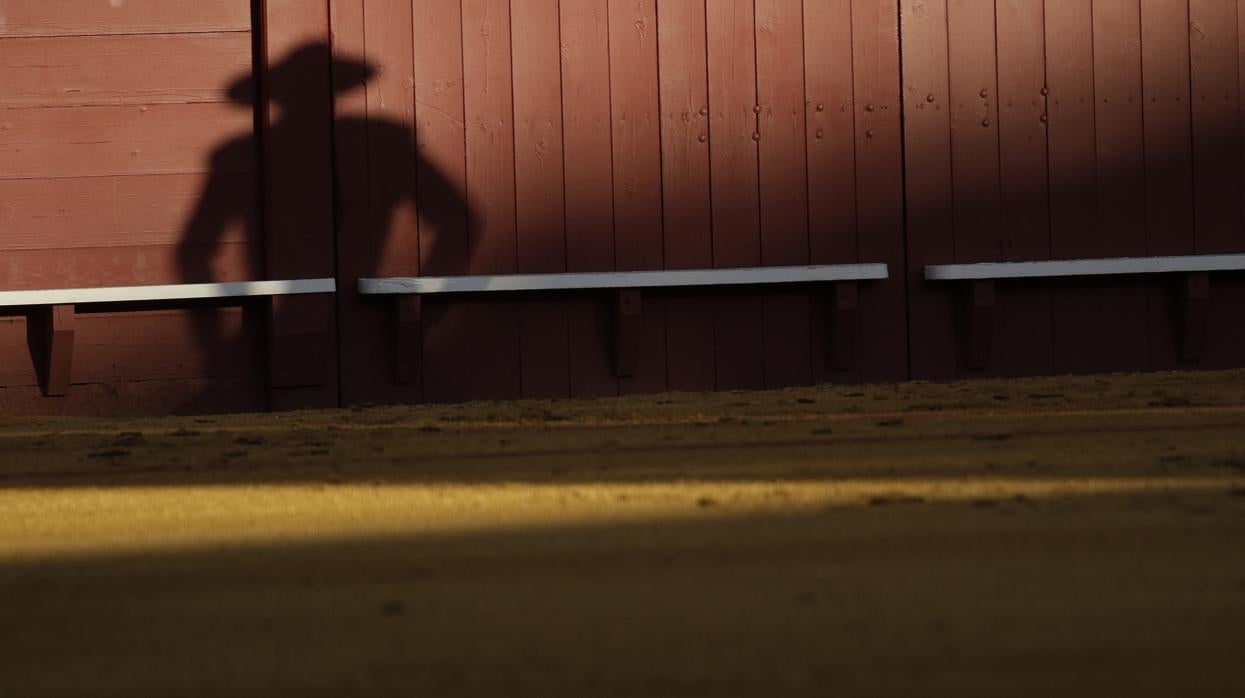 Los profesionales taurinos han remitido una carta a las Secretarías de Empleo y Seguridad Social en la que exponen su «desamparo laboral»