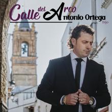 Israel Fernández cantó a las Tres Mil Maravillas del Polígono Sur de Sevilla