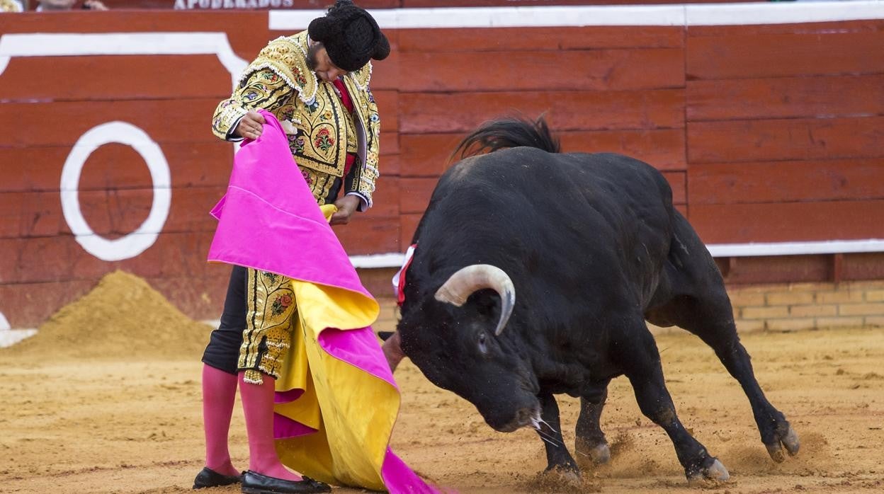 Morante de la Puebla ha pedido una corrida de Torrestrella para su vuelta al coso de La Merced