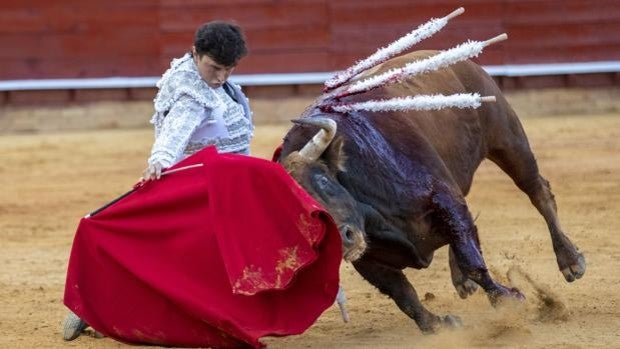 Roca Rey vuelve a levantar el flequillo: todos a tragar saliva