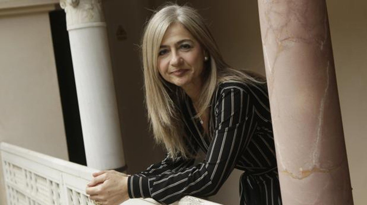 La consejera de Cultura, Patricia del Pozo, ha promovido esta nueva ley