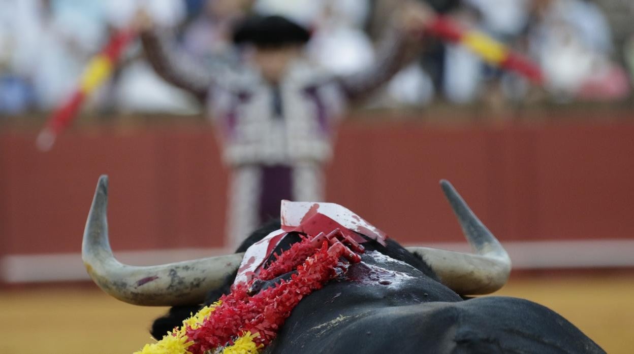 En la séptima corrida del serial de San Miguel actuaron El Juli, Miguel Ángel Perera y Roca Rey