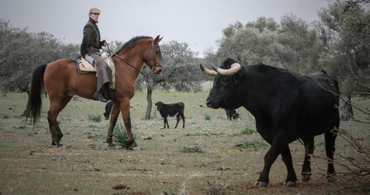 Manuel Escribano y el toro Tahonero