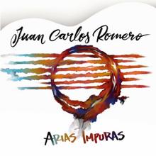 Tomatito: «Mi sensación es que de pronto me han empezado a llamar maestro»