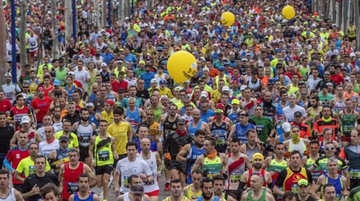 Corredores en el Zurich Maratón de Sevilla de ediciones anteriores