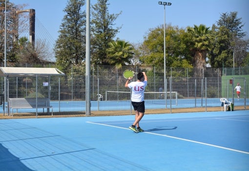 La Universidad de Sevilla lucha por el Europeo de baloncesto
