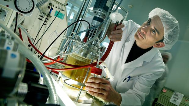 Entre los objetivos del proyecto Saludolivar está mejorar la calidad de los aceites producidos