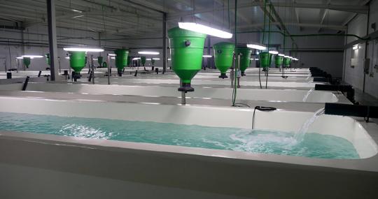 Equipos de Innovaqua instalados en una piscifactoría española
