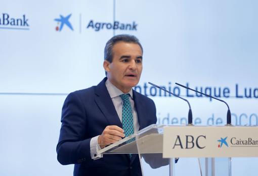 Rafael Herrador, director territorial de CaixaBank en Andalucía Occidental