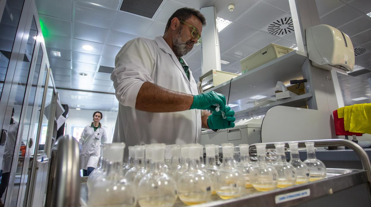 Jacobo Olalla, director general de Cerveceros de España