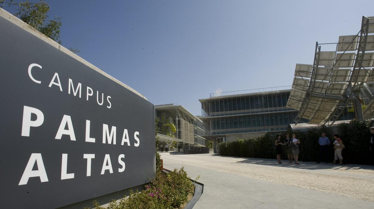 Entrada del Camppus Palmas Altas, conformado por siete edificios y un parking de 10.000 metros cuadrados