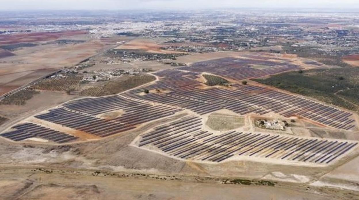 Planta solar fotovoltaica «Zafra», de Opdenergy en Alcalá de Guadaira, en la parcela colindante a la Venta El Nevero