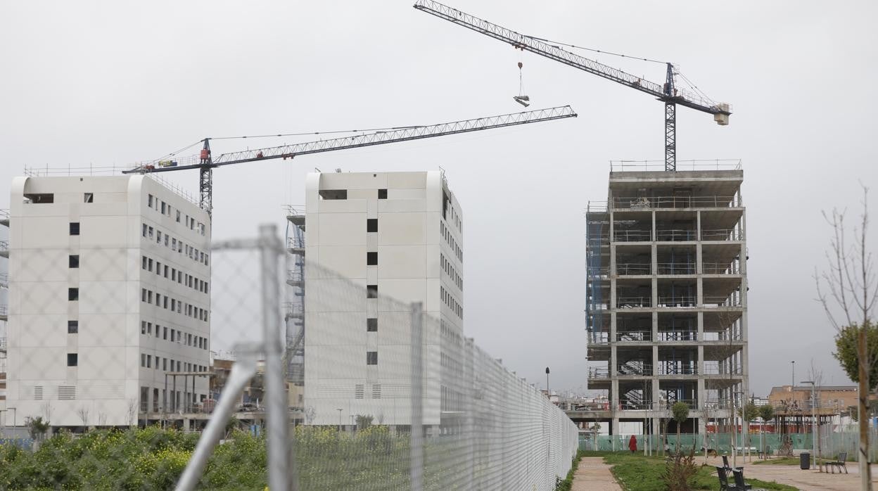 La construcción es uno de los sectores que está tirando de la economía andaluza