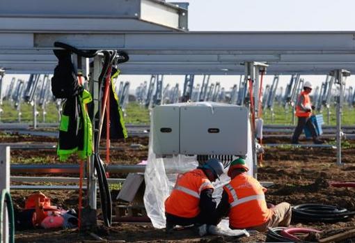 Operarios de Prodiel construyendo la planta solar de Cabrera Solar, en Alcalá de Guadaíra, con 200 megavatios