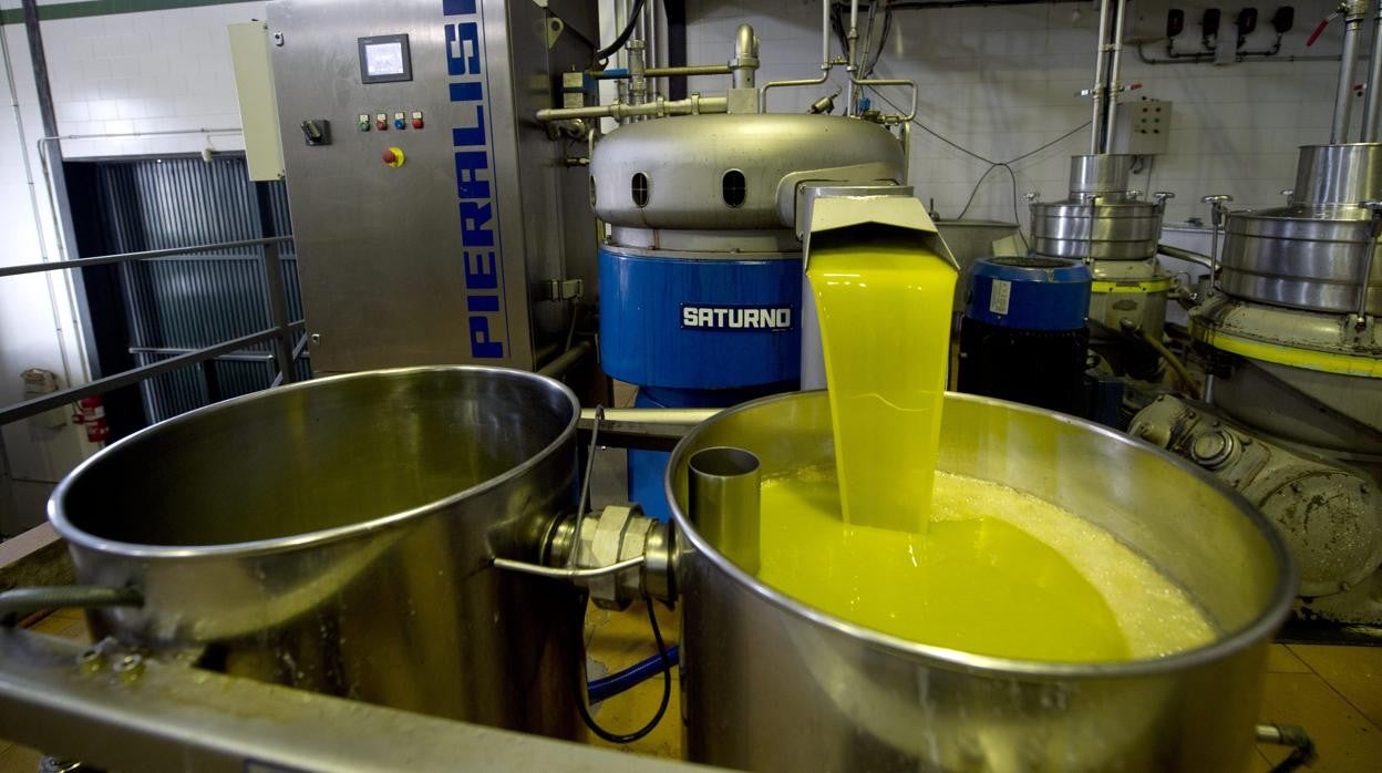 Andalucía es líder absoluta en la exportación de aceite de oliva, con un 76% de las exportaciones nacionales