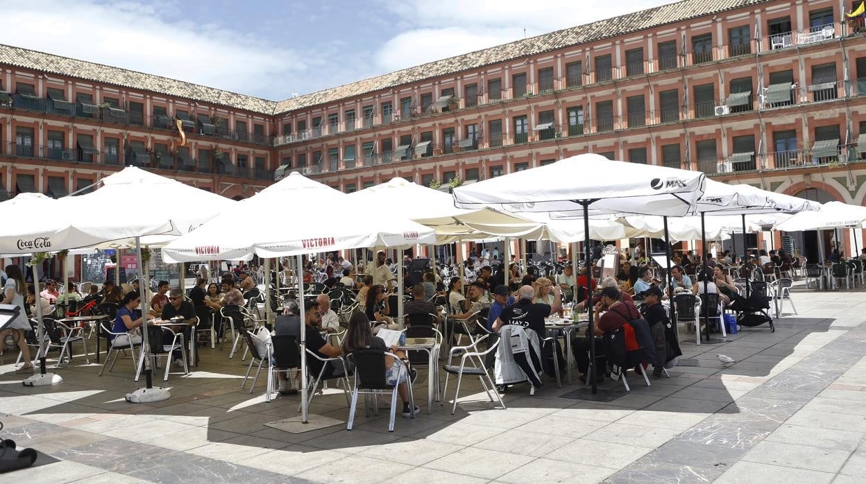 Bares en la plaza de la Corredera de Córdoba
