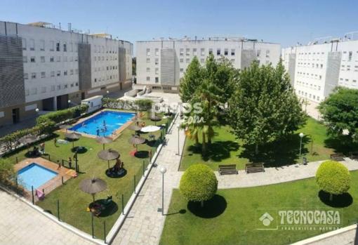 Zonas verdes con piscina del complejo