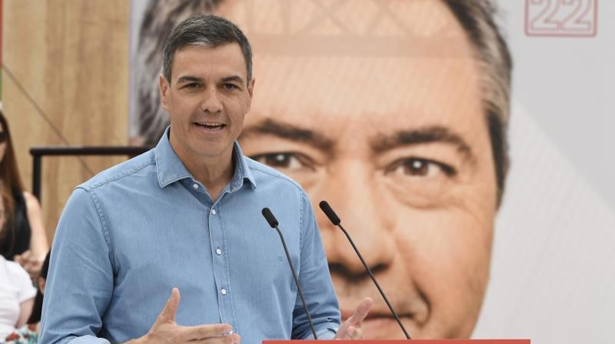 Pedro Sánchez durante su intervención en Cuevas del Almanzora