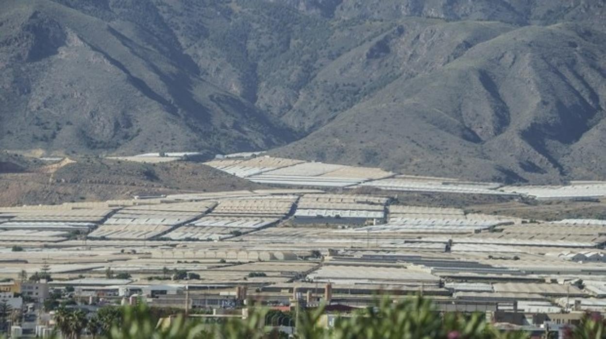 El mar de plástico de los invernaderos que circunda El Ejido