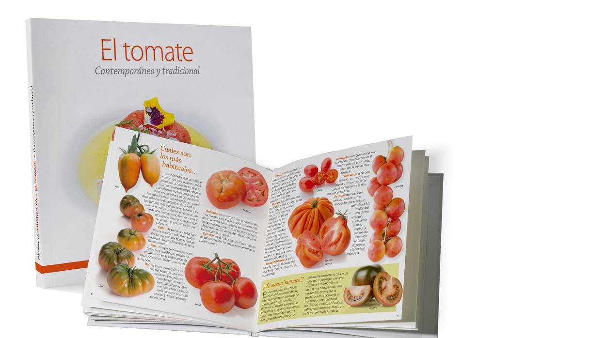 Primera entrega, «El Tomate»