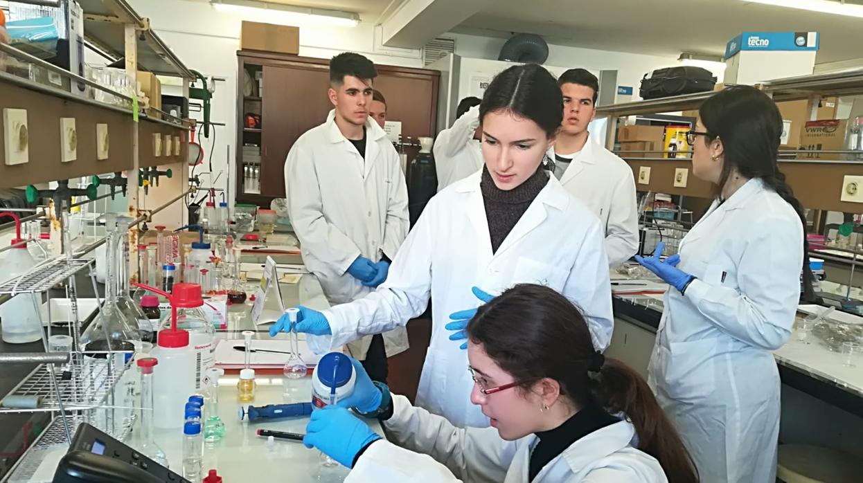 Alumnos del Colegio Sagrada Familia de Urgel participan en el «Proyecto Jóvenes con Investigadores»