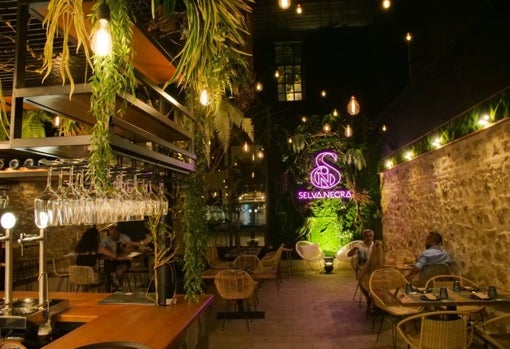 La decoración de la fábrica de aceite combina con la selvátiva