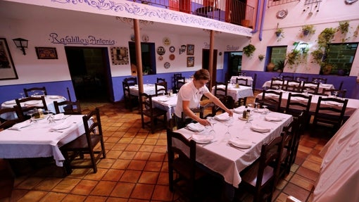 Dónde tomar unas buenas alcachofas en Córdoba