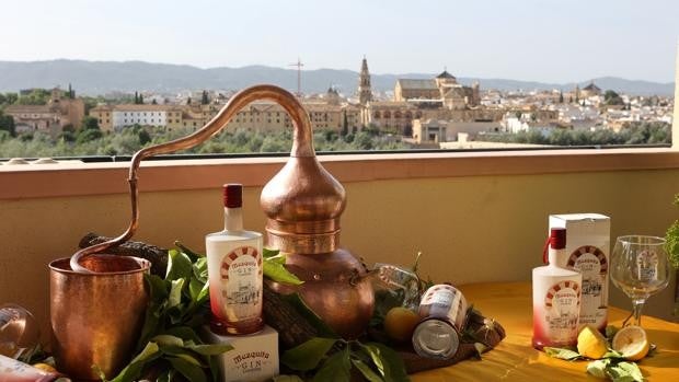 Ginebras ‘Made in Cordoba’