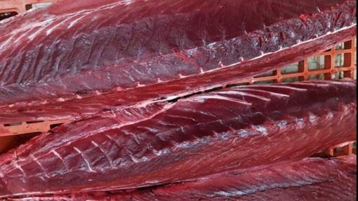 Diez sitios donde disfrutar del atún rojo en Sevilla