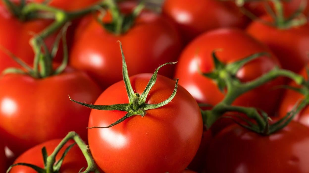 La mejor forma de conservar los tomates en casa