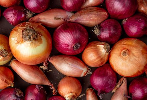 La cebolla es una de las hortalizas más usadas en la cocina