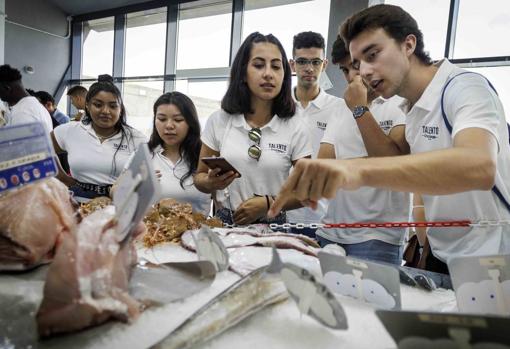 Una lección en vivo sobre el mundo de la pesca para los alumnos de Talento Cruzcampo
