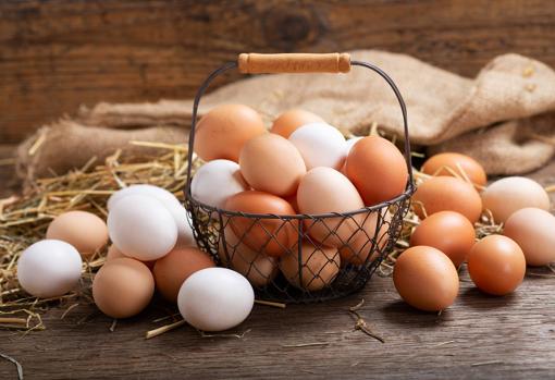Los huevos aportan proteínas de alto valor biológico