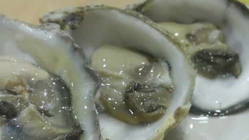 Dónde comer ostras en Sevilla