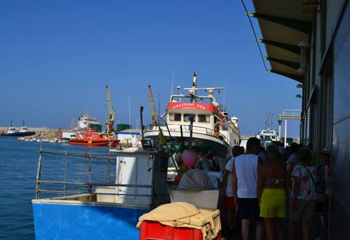 Los curiosos se agolpan en el exterior de la lonja para observar la subasta