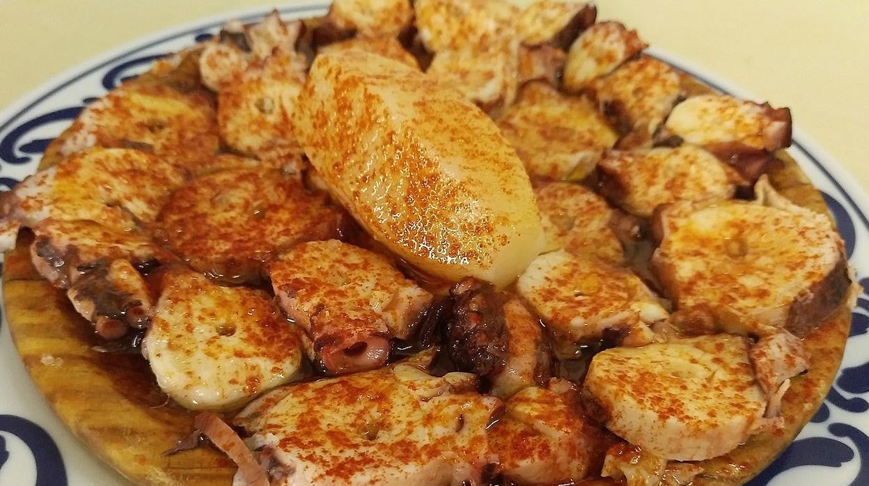 Fuente proteínas y bajo en grasas, el pulpo es un alimento exquisito