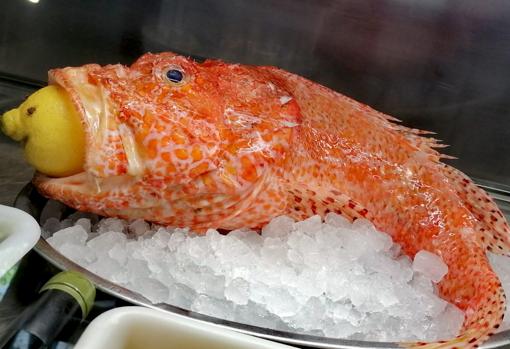 Teresa García (Cervecería El Pincho): «En Sevilla gusta el pescaíto frito todos los días del año»