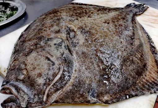 Teresa García (Cervecería El Pincho): «En Sevilla gusta el pescaíto frito todos los días del año»