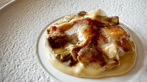 Restaurantes para disfrutar de la temporada de setas en Córdoba