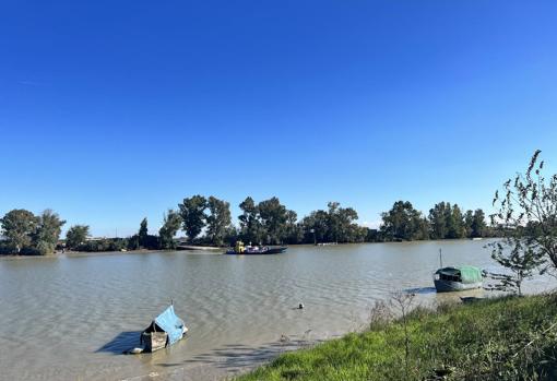 Restaurantes de la provincia donde asomarse al Guadalquivir